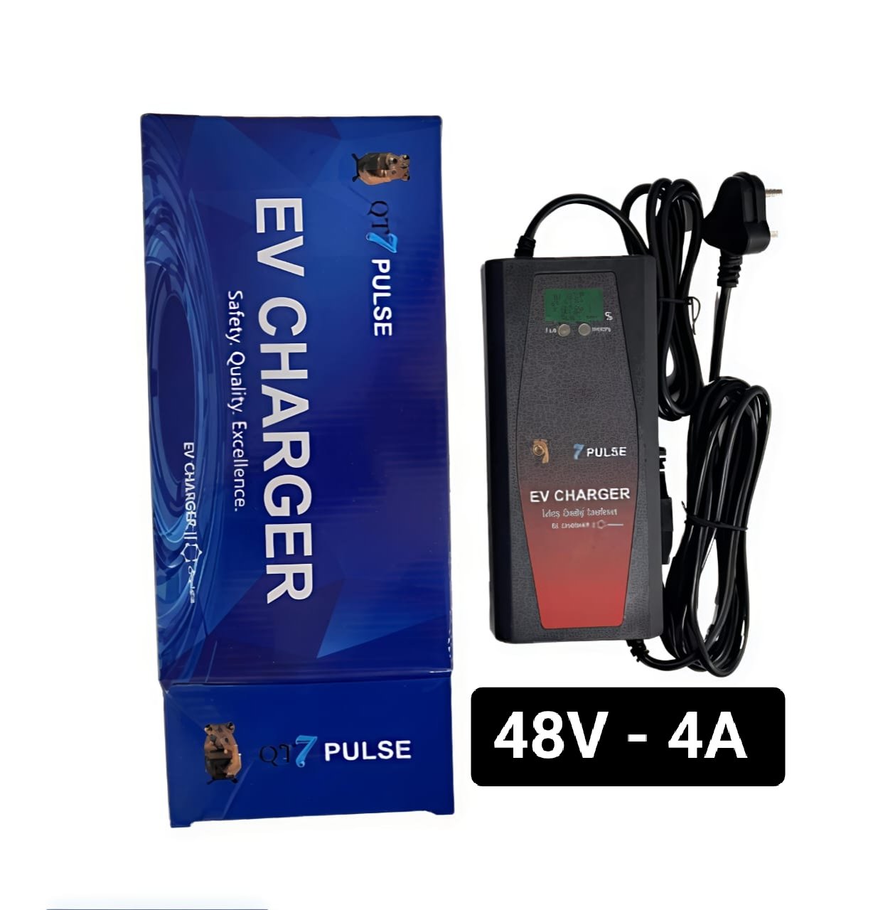 EV CHARGER 48V-4A (PULSE)