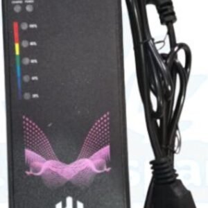 EV CHARGER 72V-3A(PERCENT)