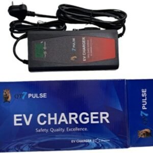 EV CHARGER 48V-3A (PULSE)